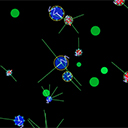 Evolving Protozoa Simulation 09