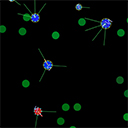 Evolving Protozoa Simulation 10